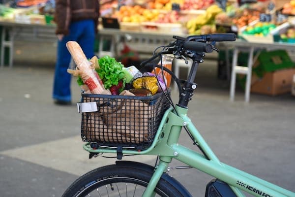 For Hire : e-Bikes NCM - 50km Range, 25km/h Max — photo 1 of 1